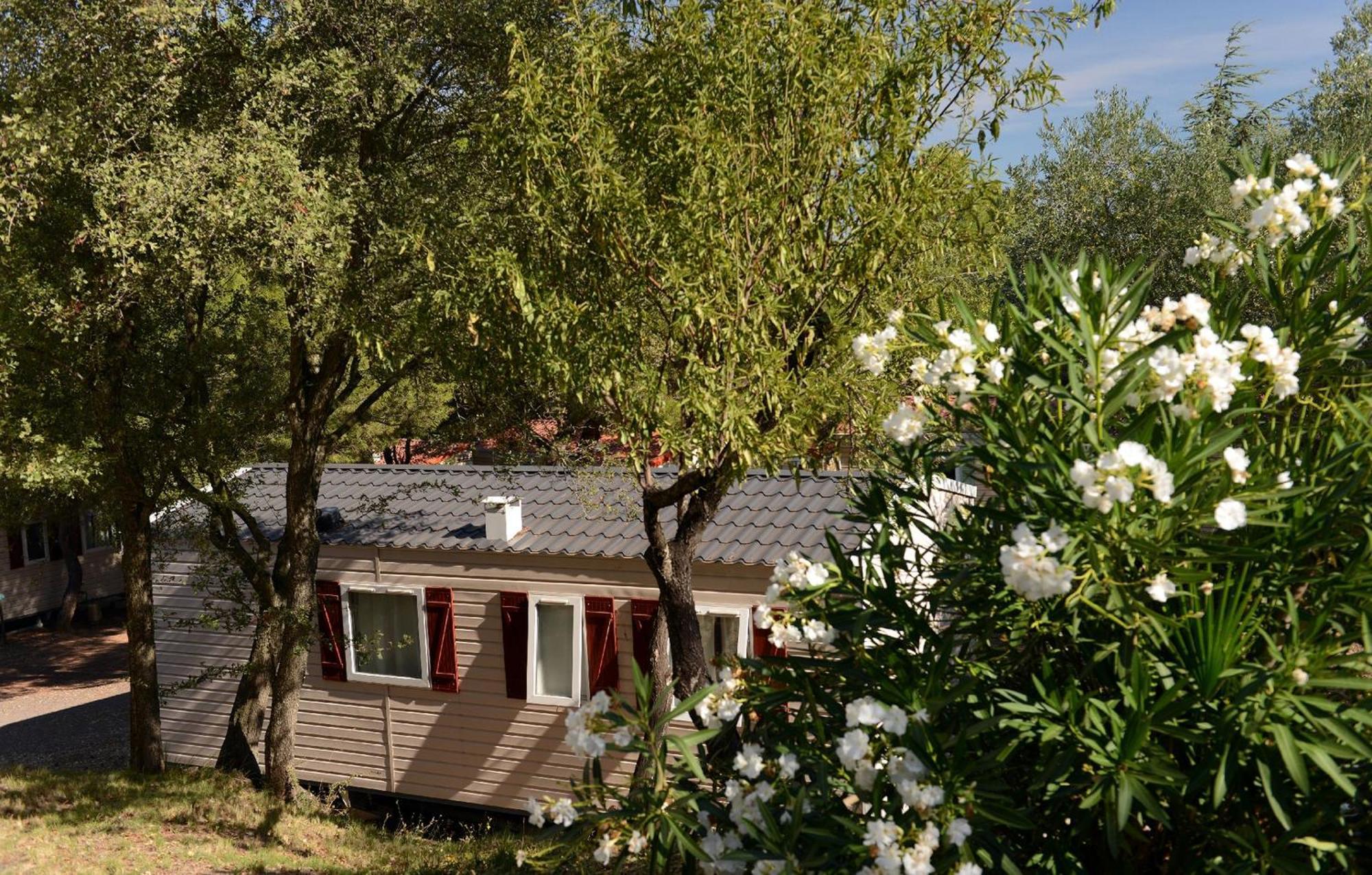 Domaine Residentiel De Plein Air Odalys La Pinede 阿格德 外观 照片