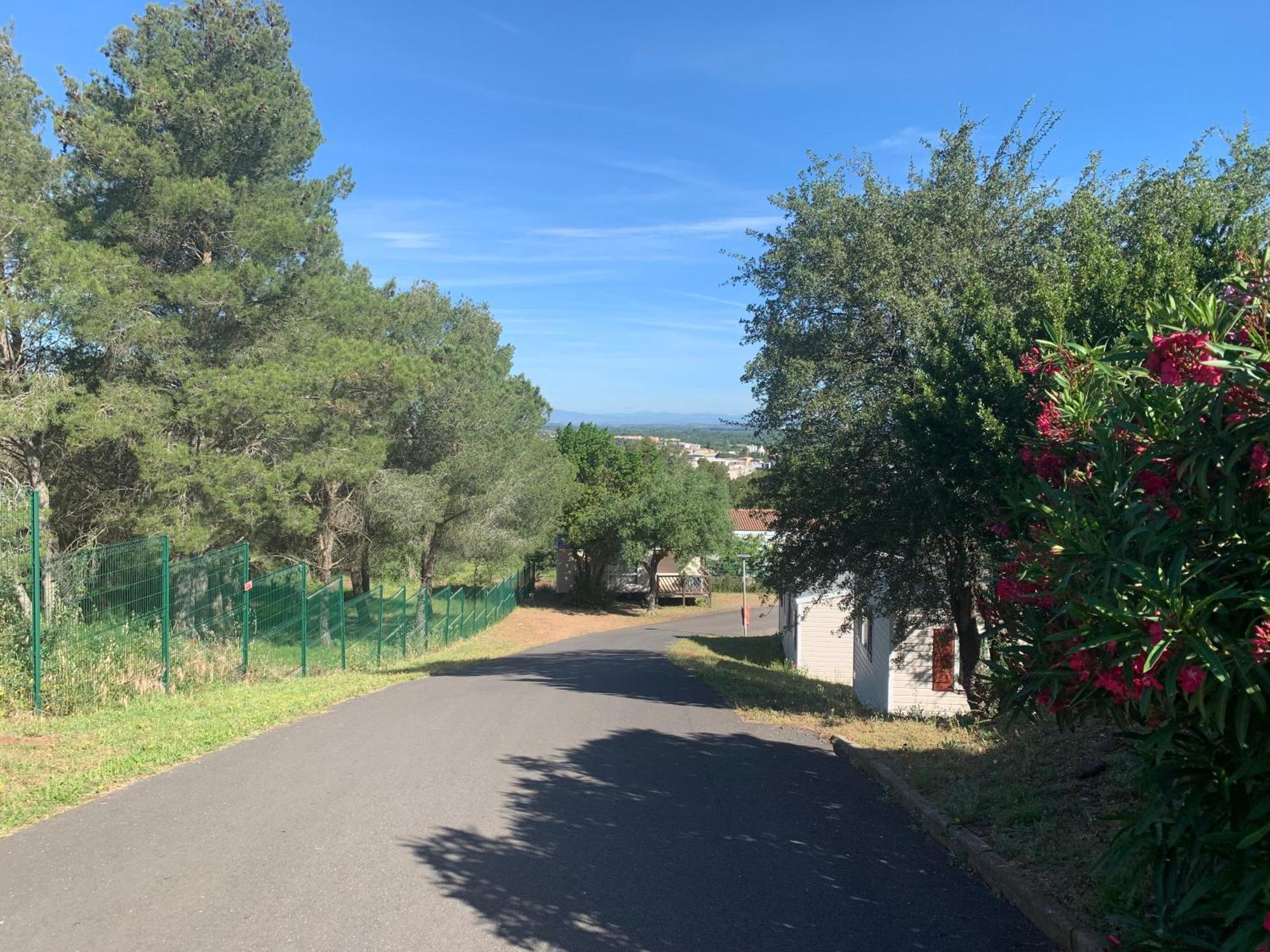 Domaine Residentiel De Plein Air Odalys La Pinede 阿格德 外观 照片
