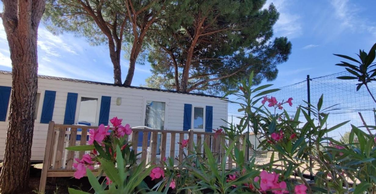 Domaine Residentiel De Plein Air Odalys La Pinede 阿格德 外观 照片