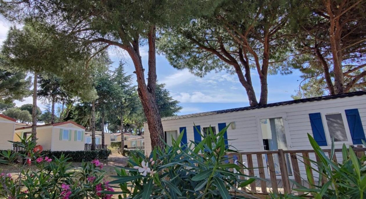 Domaine Residentiel De Plein Air Odalys La Pinede 阿格德 外观 照片