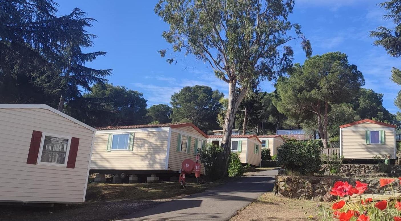 Domaine Residentiel De Plein Air Odalys La Pinede 阿格德 外观 照片