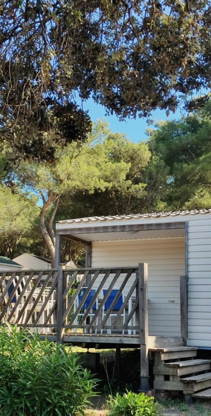 Domaine Residentiel De Plein Air Odalys La Pinede 阿格德 外观 照片