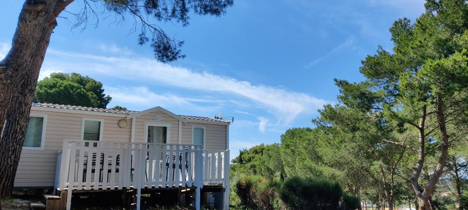 Domaine Residentiel De Plein Air Odalys La Pinede 阿格德 外观 照片
